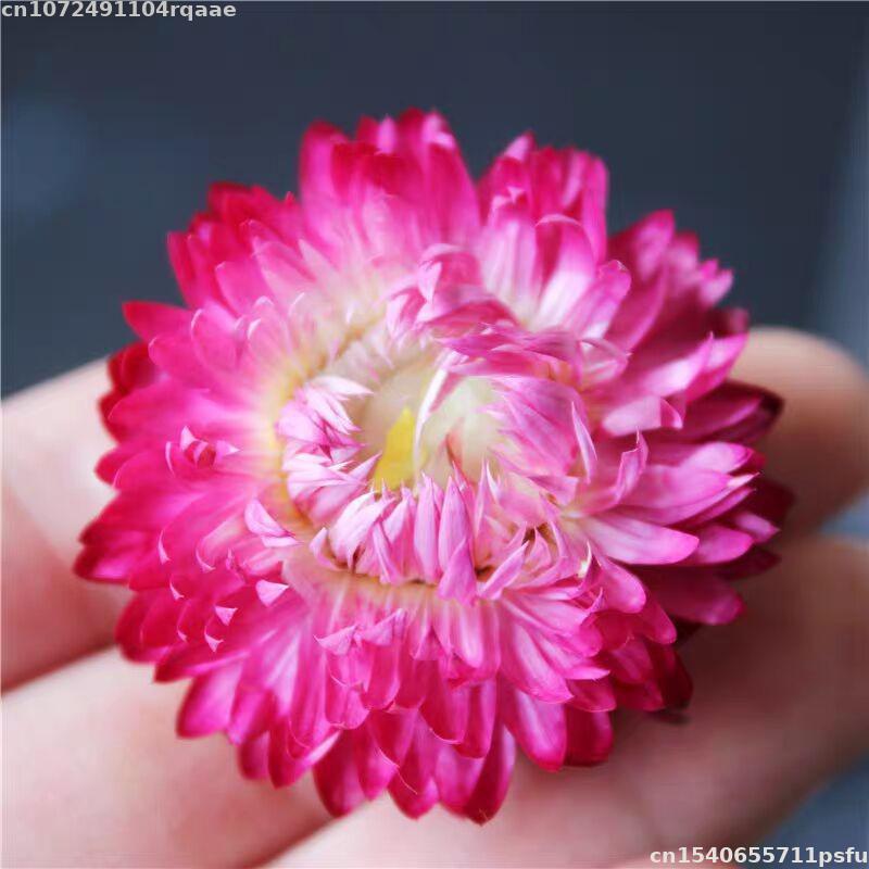 100% natürliche getrocknete Bl – Candle Making Material Wholesale Bewertung und Preis